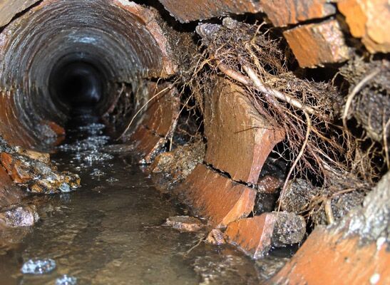 our team was called for this root intrusion removal in Pleasant Hill